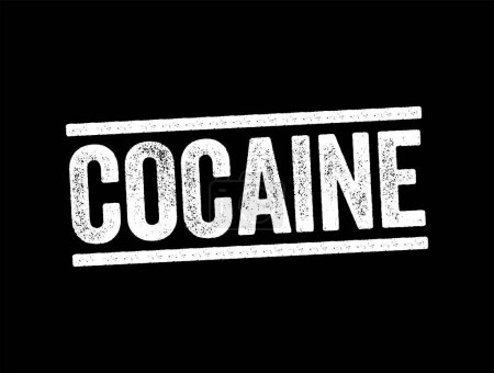 Illustration for Cocaine is a stimulant drug obtained from the leaves of two coca species, text stamp concept background - Royalty Free Image
