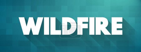 Illustration for Wildfire is an unplanned fire that burns in a natural area such as a forest, text concept for presentations and reports - Royalty Free Image
