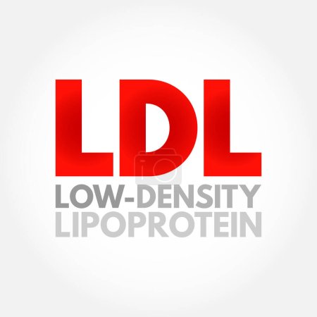 Ilustración de LDL Lipoproteína de Baja Densidad - uno de los cinco grupos principales de lipoproteínas que transportan todas las moléculas de grasa alrededor del cuerpo en el agua extracelular, fondo de concepto de texto acrónimo - Imagen libre de derechos