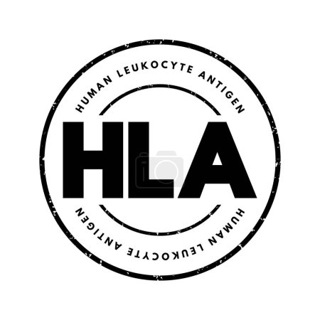 Téléchargez les illustrations : HLA Human Leukocyte Antigen - complexe de gènes sur le chromosome 6 chez l'homme qui codent des protéines de surface cellulaire, acronyme texte tampon concept fond - en licence libre de droit