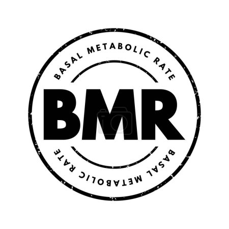 Téléchargez les illustrations : BMR Basal Metabolic Rate - number of calories you burn as your body performs basic life-sustaining function, acronym text stamp concept background - en licence libre de droit