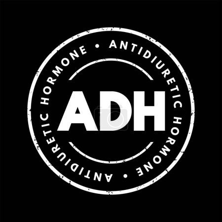 Illustration for ADH Antidiuretic Hormone - nonapeptide synthesized in the hypothalamus, acronym text concept stamp - Royalty Free Image