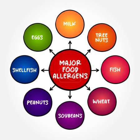 Major Food Allergens (reaction that occurs soon after eating a certain food) mind map text concept background