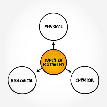 Ilustración de Tipos de Mutágeno (cualquier cosa que cause una mutación, un cambio en el ADN de una célula) - Imagen libre de derechos