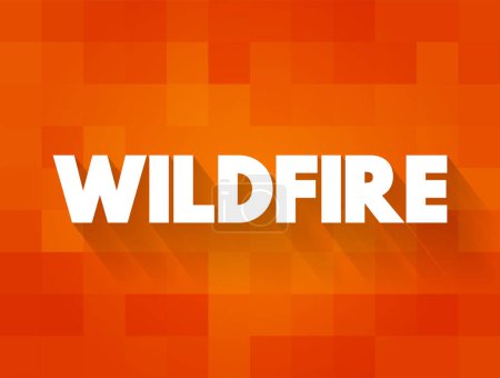 Illustration for Wildfire is an unplanned fire that burns in a natural area such as a forest, text concept for presentations and reports - Royalty Free Image