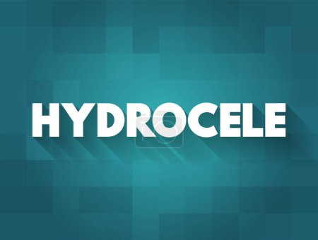 Illustration for Hydrocele is a type of swelling in the scrotum that occurs when fluid collects in the thin sheath surrounding a testicle, text concept for presentations and reports - Royalty Free Image