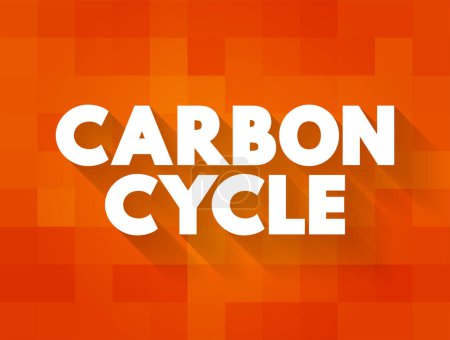 Téléchargez les illustrations : Cycle du carbone - processus dans lequel les atomes de carbone voyagent continuellement de l'atmosphère à la Terre, puis retournent dans l'atmosphère, texte concept arrière-plan - en licence libre de droit