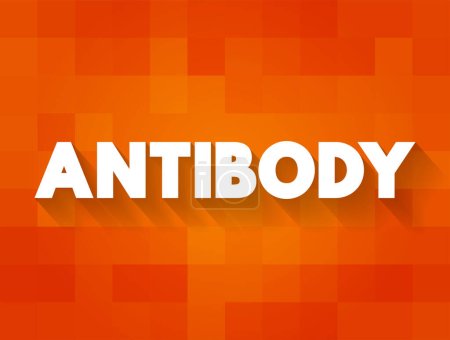 Téléchargez les illustrations : Anticorps - est une grande protéine en forme de Y utilisée par le système immunitaire pour identifier et neutraliser les corps étrangers tels que les bactéries et les virus pathogènes. - en licence libre de droit