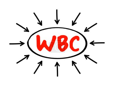 Ilustración de CMB - acrónimo de glóbulos blancos, antecedentes de concepto médico - Imagen libre de derechos