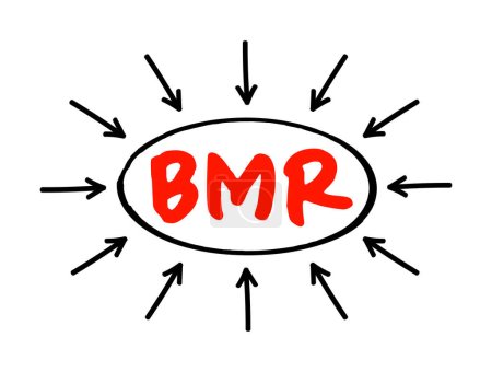 Téléchargez les illustrations : BMR Basal Metabolic Rate - nombre de calories que vous brûlez pendant que votre corps remplit une fonction vitale de base, texte acronyme avec des flèches - en licence libre de droit