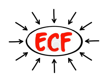 Téléchargez les illustrations : ECF Fluide extracellulaire fluide corporel qui n'est pas contenu dans les cellules, concept de texte acronyme avec des flèches - en licence libre de droit