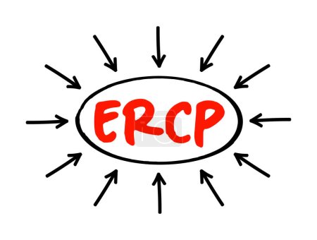 Illustration for ERCP Endoscopic Retrograde CholangioPancreatography - procedure to diagnose and treat problems in the liver, gallbladder, bile ducts, and pancreas, acronym text with arrows - Royalty Free Image