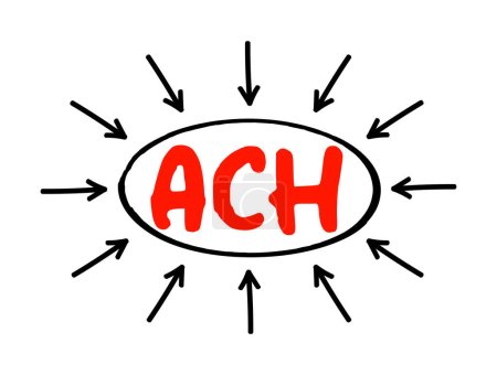 Téléchargez les illustrations : ACH Automated Clearing House - réseau électronique informatisé pour le traitement des transactions, concept de texte acronyme avec flèches - en licence libre de droit