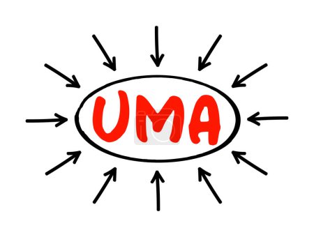 Téléchargez les illustrations : UMA - Unified Managed Account sont des comptes de placement gérés qui se sont développés à partir de comptes séparés, concept d'entreprise acronyme avec des flèches - en licence libre de droit