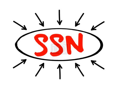 Ilustración de SSN - Número de Seguro Social texto acrónimo con flechas, concepto de fondo - Imagen libre de derechos