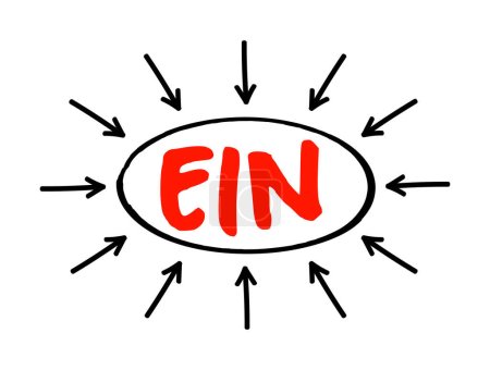 Ilustración de EIN - Número de identificación del empleador se utiliza para identificar una entidad comercial, concepto de texto acrónimo con flechas - Imagen libre de derechos