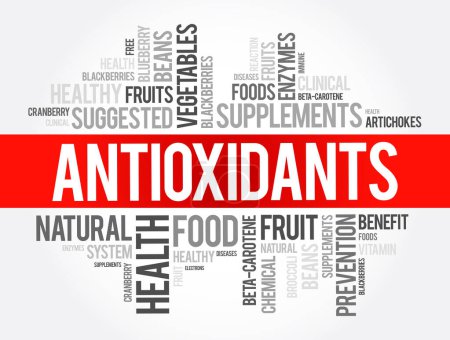 Los antioxidantes son sustancias químicas que disminuyen o previenen los efectos de los radicales libres, el fondo del concepto de nube de palabras