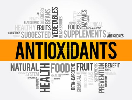 Ilustración de Los antioxidantes son sustancias químicas que disminuyen o previenen los efectos de los radicales libres, el fondo del concepto de nube de palabras - Imagen libre de derechos