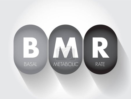 Illustration for BMR Basal Metabolic Rate - number of calories you burn as your body performs basic life-sustaining function, acronym text concept background - Royalty Free Image