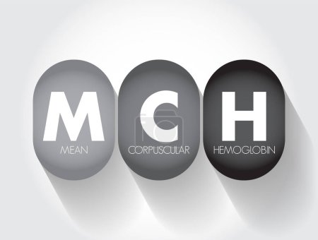 Illustration for MCH Mean Corpuscular Hemoglobin - measure of the average amount of hemoglobin in your red blood cells, acronym text concept background - Royalty Free Image