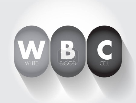 Ilustración de Glóbulos blancos glóbulos blancos - componente celular de la sangre que ayuda a defender el cuerpo contra la infección, fondo de concepto de texto acrónimo - Imagen libre de derechos