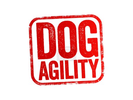 Illustration for Dog Agility is a dog sport in which a handler directs a dog through an obstacle course in a race for both time and accuracy, text stamp concept background - Royalty Free Image