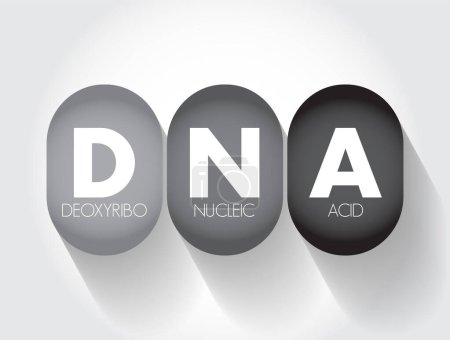 Téléchargez les illustrations : ADN Acide désoxyribonucléique - matériel héréditaire chez l'homme et presque tous les autres organismes, acronyme texte concept fond - en licence libre de droit