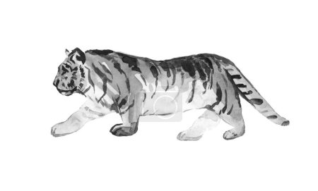 Téléchargez les photos : White tiger hand painted watercolor illustration isolated - en image libre de droit