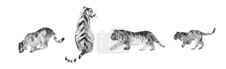 Foto de White tiger print watercolor clipart, tiger illustration clip art, tiger printable sticker - Imagen libre de derechos