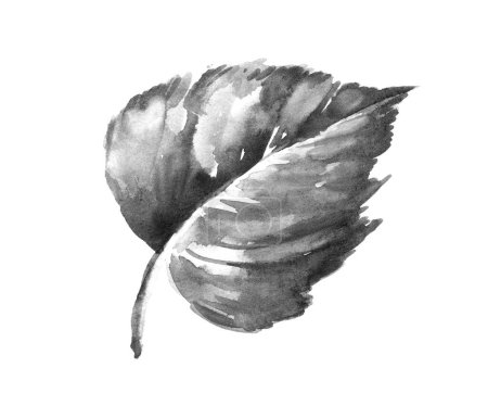 Photo for Sketch leaf by hand on an isolated background - Royalty Free Image