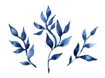 Foto de Tres ramas con misteriosas hojas azules aisladas sobre un fondo blanco. Ilustración hecha a mano. Efecto de granulación de acuarela. Elementos decorativos florales abstractos - Imagen libre de derechos