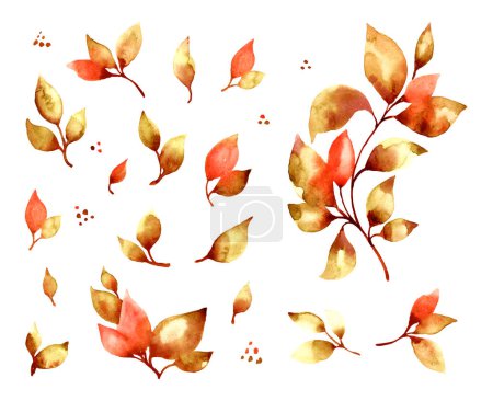 conjunto de hojas de acuarela de otoño rojo y bayas, elementos de diseño dibujados a mano

