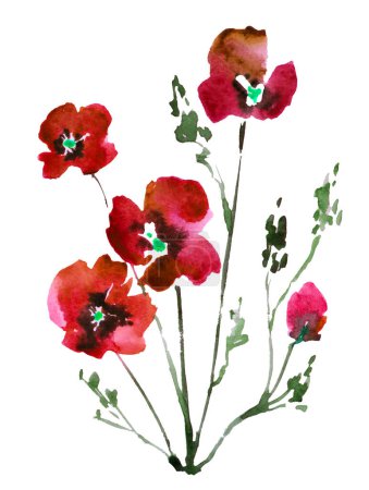 Watercolor poppies bouquet. Hand painted floral illustration with leaves, seed capsule and branches isolated on white background. For design, print and fabric.