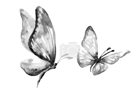 Foto de Acuarela aislado dos mariposas grandes y pequeñas incoloro negro y blanco silueta silueta sombra forma - Imagen libre de derechos