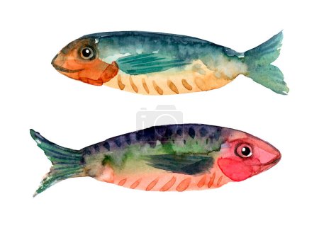 Watercolor colored fishes on white background