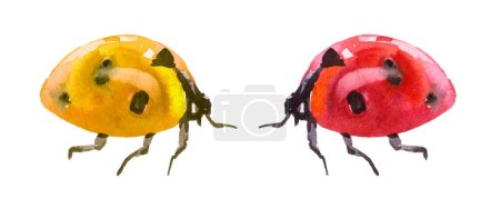 Watercolor Ladybugs in Red and Yellow. Clipart with Ladybirds