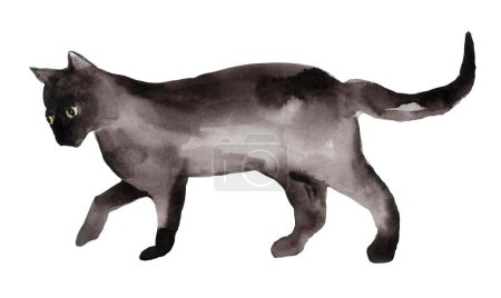 Illustration aquarelle vibrante d'un chat noir sur fond blanc, capturant l'élégance élégante et le charme mystérieux du chat avec une touche audacieuse et artistique
