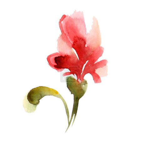 The image features a vibrant watercolor illustration of an intricate, lush red flower against a white background