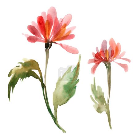 Photo for The image shows a watercolor illustration of two red, elegant flowers, resembling a child's drawing, on a white background. The flowers are simple yet charming, with vibrant red petals and green stems - Royalty Free Image