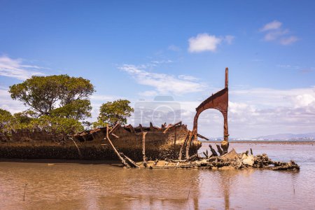 Foto de Naufragio en isla magnética con árboles en el agua - Imagen libre de derechos