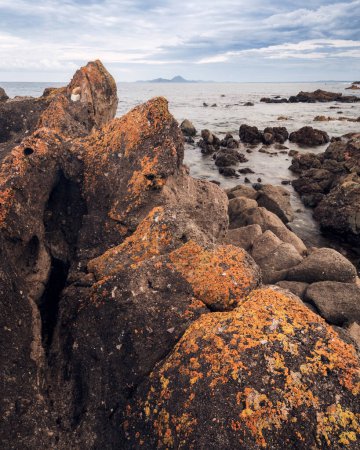 Foto de Lichen naranja en rocas en Broughton Island en NSW - Imagen libre de derechos