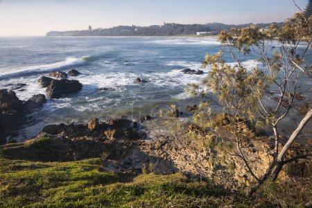 Téléchargez les photos : Surplombant les vagues et les arbres sur la plage à la lumière du matin à Minnie Water NSW coast - en image libre de droit