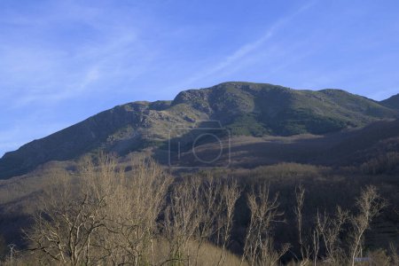 Téléchargez les photos : Paysage forestier avec arbres sans feuilles en hiver avec montagne de granit et ciel bleu horizontalement - en image libre de droit