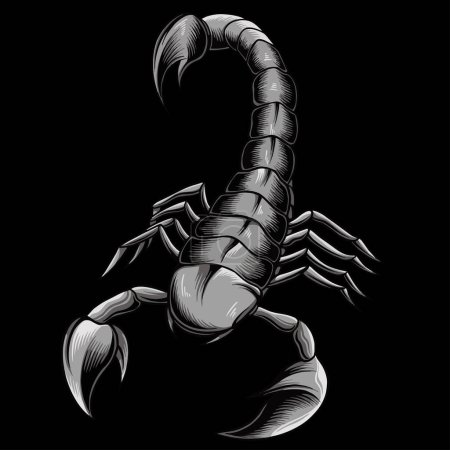 Illustration for Monochromatic Illustration of scorpion arachnid insect. vector graphics - Royalty Free Image