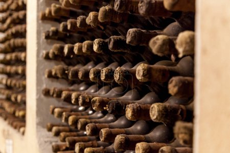 Photo for Old bottles of wine stacked in rows in the cellars of a winery - Royalty Free Image