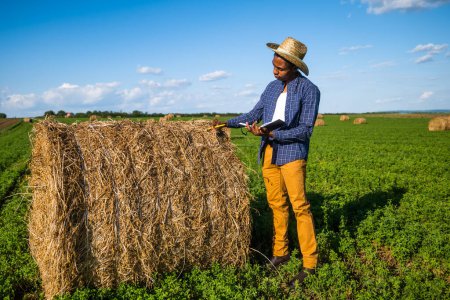 African farmer is standing in his agricultural field. He is cultivating clover and making bales of hay.