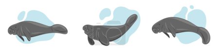Téléchargez les illustrations : Manatees. Sea cows swimming underwater. Set of marine dwellers - en licence libre de droit