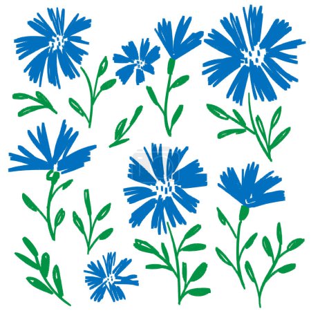 Illustration for Cornflower. Meadow flowers set. Hand drawn floral elements, botanical illustration.Vector illustration - Royalty Free Image