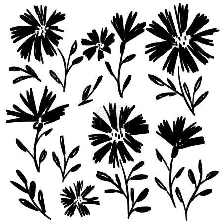 Illustration for Meadow flowers set. Ink drawing floral elements, monochrome artistic botanical illustration. Hand drawn vector illustration - Royalty Free Image