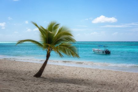 Téléchargez les photos : Incroyable plage de paradis tropical avec sable blanc, cocotier, mer et ciel bleu, arrière-plan de voyage en plein air, concept de vacances d'été, papier peint naturel. Caraïbes, île de Saona, République dominicaine - en image libre de droit